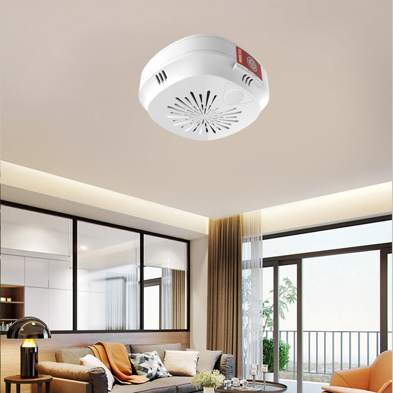 HD6000吸頂式可燃?xì)怏w檢測報警器