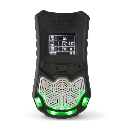 GC310復(fù)合式氣體檢測儀